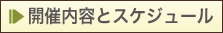 福井城址お堀の灯り開催内容とスケジュール