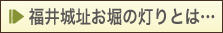 福井城址お堀の灯りとは